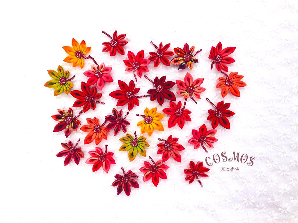 🍁2021年11月の出展予定🍁